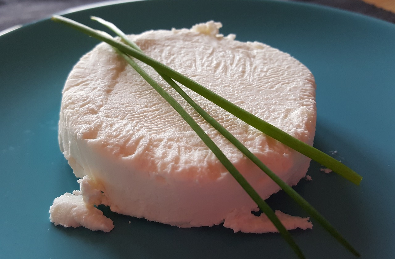 fromage de chèvre