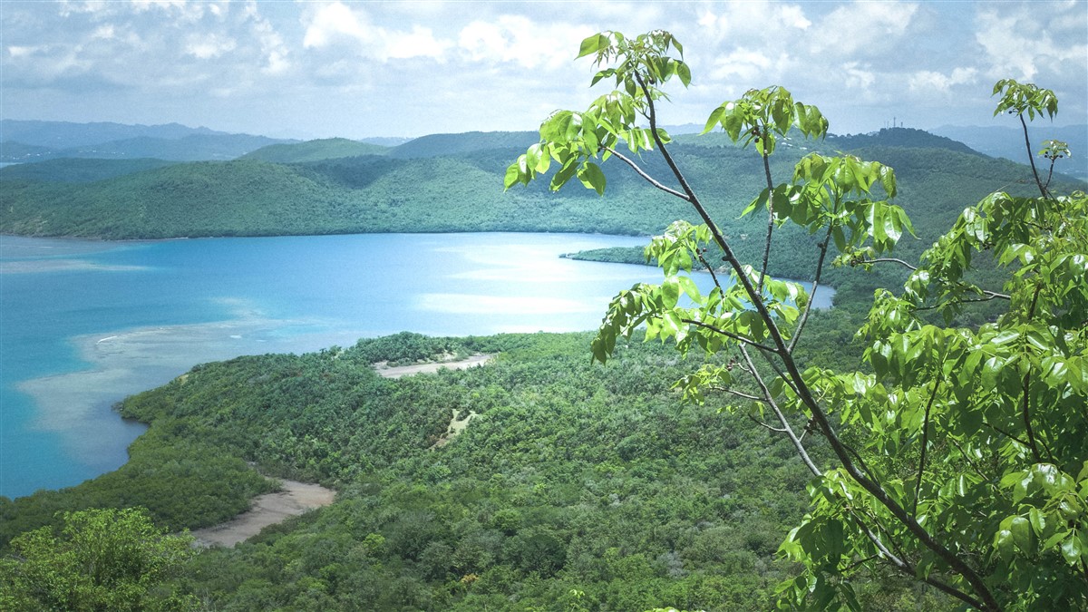 explorer la Martinique